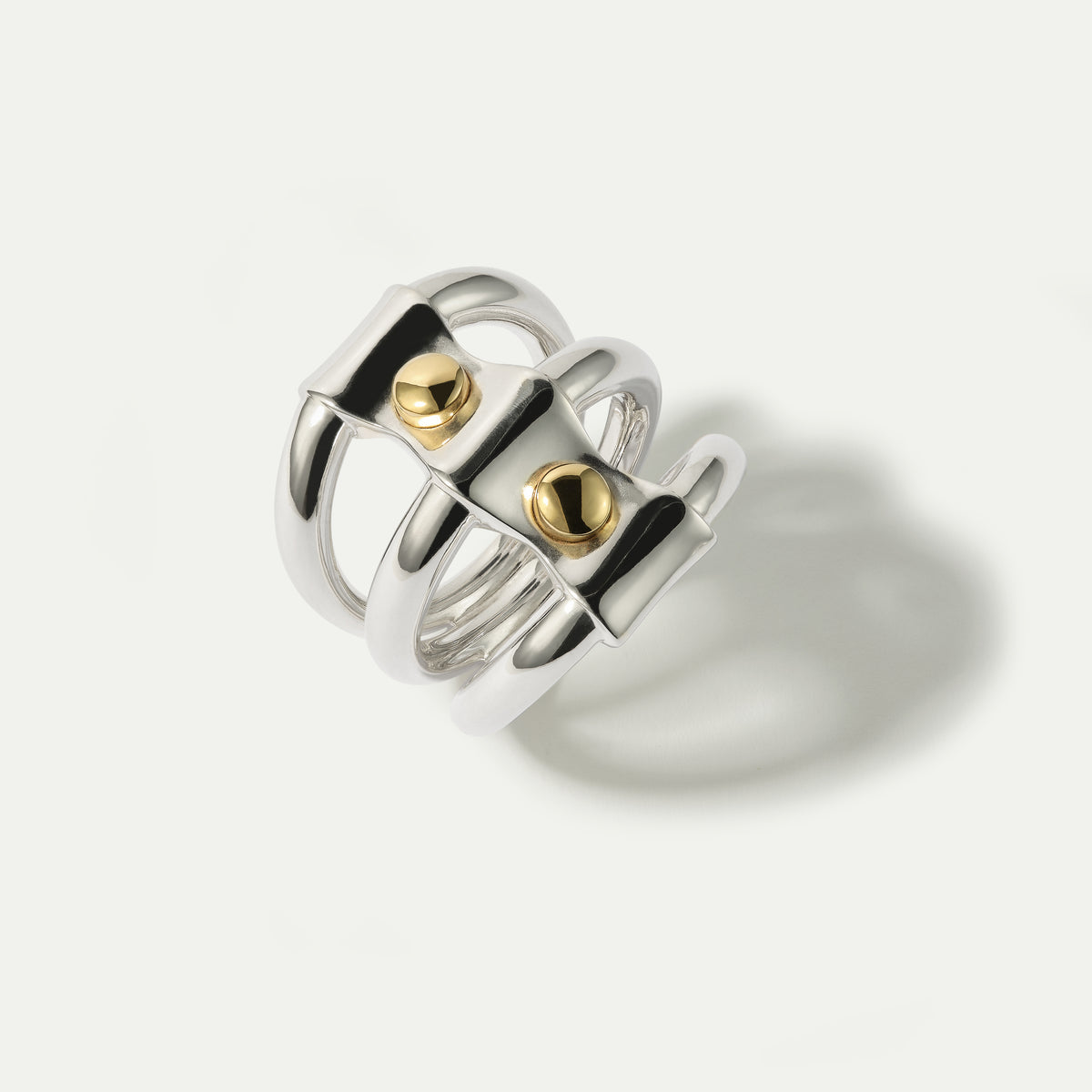 The Full Spectrum Two-Tone Strap Ring